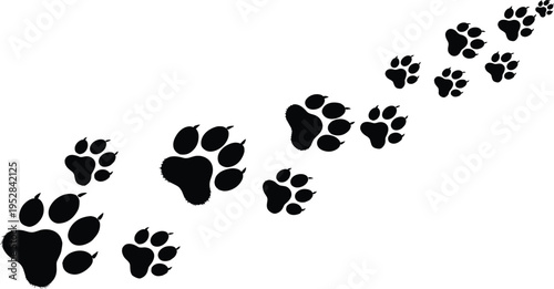 Black animal paw prints on white background animal tracks black silhouettes footprints