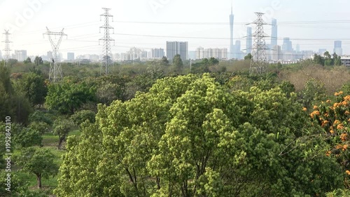 high voltage power lines in the field