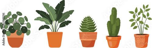 Houseplant collection in pots vector illustration, indoor decorative plants set including cactus, succulent and tropical foliage, modern home gardening design isolated