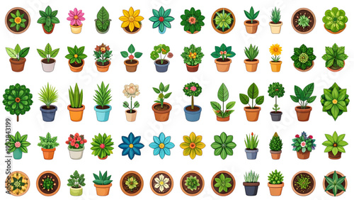 Vector illustration of diverse potted plants and flowers arranged in grid pattern with colorful pots, decorative leaves, and botanical design