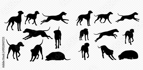 Collection of various dog silhouettes in different poses including standing, running, and lying down, isolated on a transparent background.