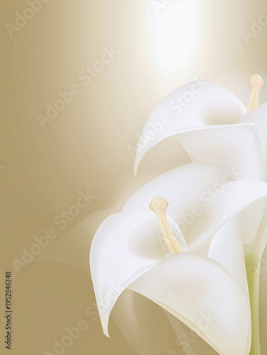 Elegant illustration of white calla lilies against a soft background, showcasing delicate petals and subtle lighting effects for a serene floral composition