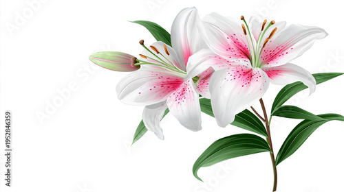 White lilies with green leaves arranged elegantly on a plain background, showcasing delicate petals and intricate details of the floral design