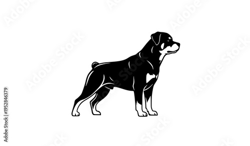 Rottweiler dog black silhouette logo strong guard dog icon vector isolated on white background
Keywords: