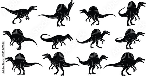Spinosaurus Dinosaur Silhouette Collection with Various Poses for Prehistoric Wildlife Design, Jurassic Era Illustrations, Fossil Themes, and Educational Graphic Projects