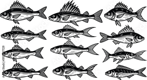 Fish Illustration Icon Set with Detailed Marine and Freshwater Fish for Fishing Graphics, Seafood Industry Designs, Aquatic Wildlife Art, and Ocean Nature Themes