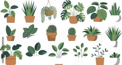 Houseplants set for home decor featuring succulents, exotic flowers, monstera, ficus, pothos, yucca, dracaena, cacti, and snake plants vector illustration
