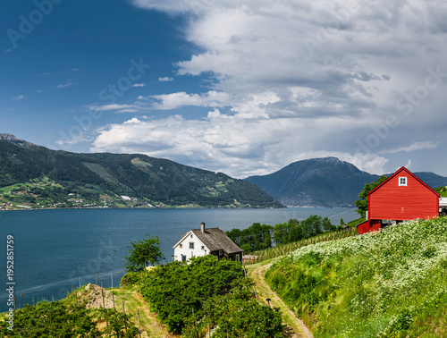 Hardangerfjord in Norway