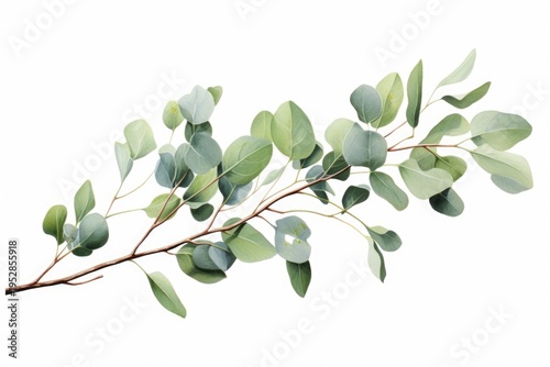 A branch with green leaves on a white background. Perfect for nature-themed designs and concepts.