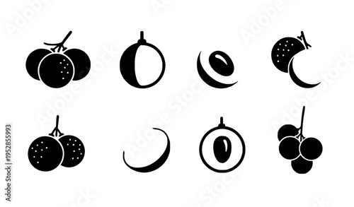 Minimal longan fruit vector icons with whole and cut shapes in modern navy style isolated on white