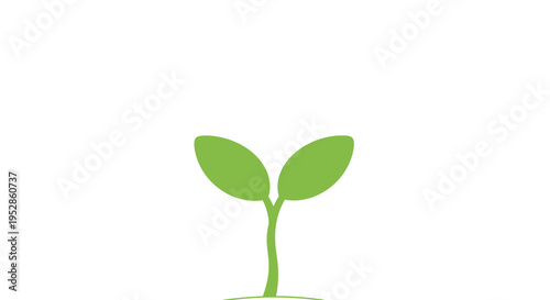 New beginning, growth, green sprout, plant seedling, life concept, isolated on white