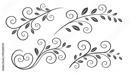 Elegant floral leaf scrolls and delicate vine branch ornaments vector illustration for wedding invitations greeting cards and decorative branding art