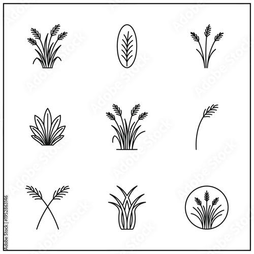 Collection of nine stylized plant icons in black and white.