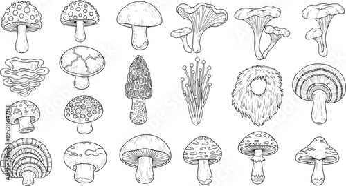 A comprehensive collection of hand-drawn doodle illustrations in black and white, showcasing various types of wild mushrooms, including edible, poisonous, and fantastical fungi.