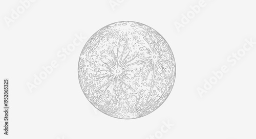 Detailed Gray Circle Design Pattern.