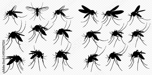 Set of black mosquito silhouettes on transparent background, insect vector illustration.