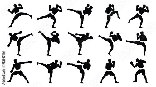 Martial arts silhouettes of people kicking and punching in various fighting stances on white background
