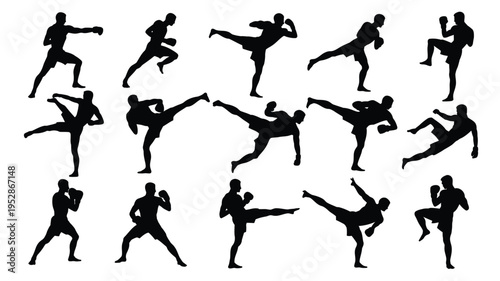 Martial arts silhouettes of people kicking and punching in various fighting stances on white background