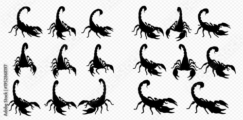 Collection of black scorpion silhouettes in various poses on a transparent background, depicting different angles and movements of the venomous arachnids.