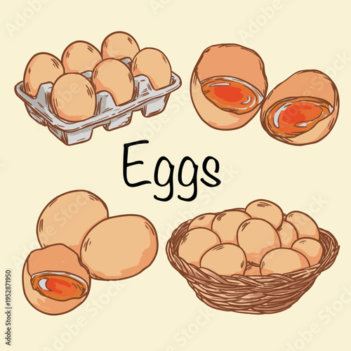 Set of hand drawn Eggs, Egg carton, Egg yolk and Egg basket doodle illustration
