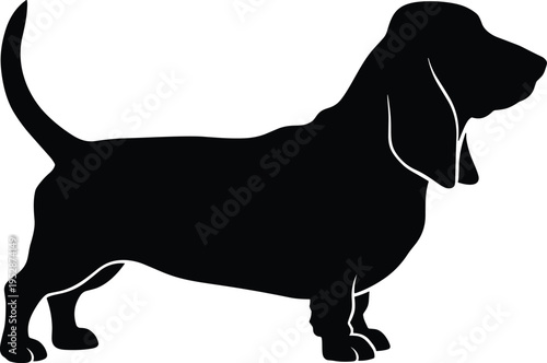 Black silhouette of a basset hound dog standing in profile with long ears and curved tail isolated on a white background for commercial use.