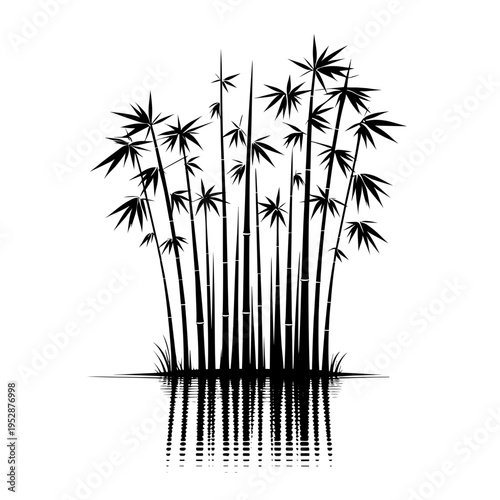 Bamboo illustration, minimalist, black-white, nature symbol