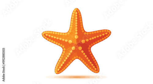 Vector orange starfish illustration