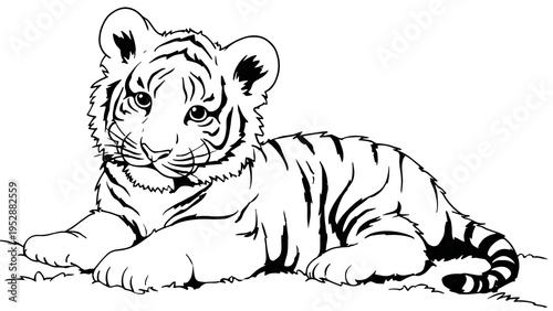 cute tiger cub sitting, simple coloring book illustration, bold black outlines, cartoon clipart style, white background