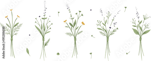 Wildflower Bouquet Collection with Hand Drawn Meadow Flowers, Herbs and Rustic Botanical Arrangements