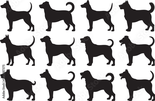 Collection of various dog breeds in silhouette standing poses