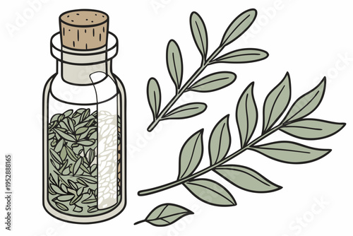 A bottle of herbal leaves next to a branch