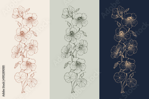 Fotografía Set of three vertical floral borders with hand drawn nasturtium flowers