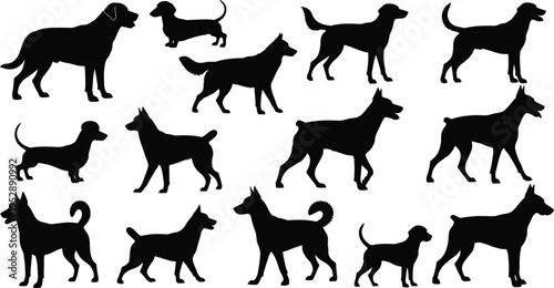 A collection of various dog silhouettes showing different breeds and poses on a white background isolated on white background