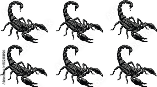 Black silhouette scorpion illustrations set with pincers, curled tails, segmented body, detailed insect icons for biology, entomology, and decorative design