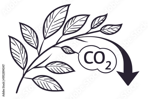 A plant branch absorbing carbon dioxide