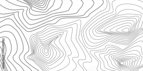 Grey contour line seamless background. Vector Repeating Texture.