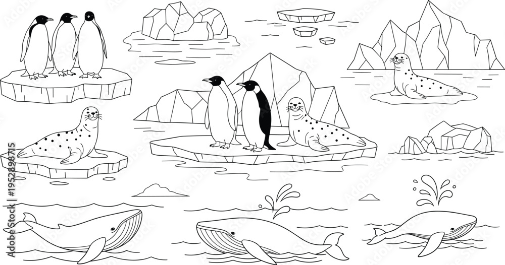 Fototapeta premium Arctic Wildlife Coloring Page Vector Set Featuring Penguins, Seals, Whales, Icebergs, and Polar Ocean Scenes in Outline Cartoon Style