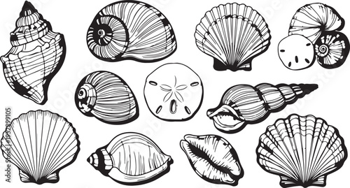 Seashell / shellfish flat icon for apps and websites