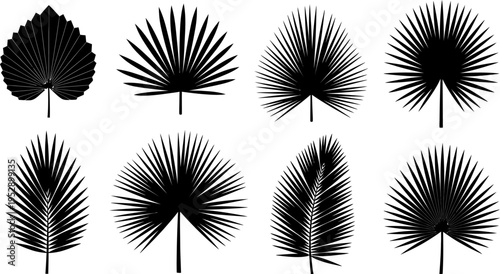 Eight black and white palm leaf in various shapes and angles