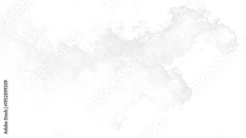 Картината върху платно White smoke swirls and floats on a transparent background during an undefined mo
