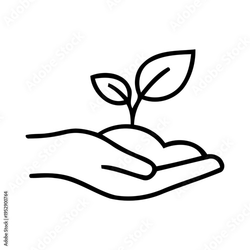 Seedling in open palm signifying environmental responsibility and earth stewardship for green energy and sustainability projects