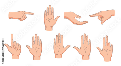 Gemini said

A comprehensive set of diverse hand gestures featuring various skin tones and positions for versatile design projects