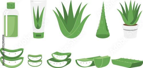 Aloe vera plant and gel vector collection, cosmetic skincare ingredients, medicinal succulent leaves, natural herbal product illustration set