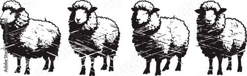 four black and white sheep illustrations with textured fur, facing forward and standing