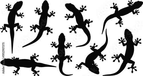 Gecko lizard silhouettes collection, reptile wall climbing poses vector set, tropical animal icons isolated, wildlife design elements for nature themed projects