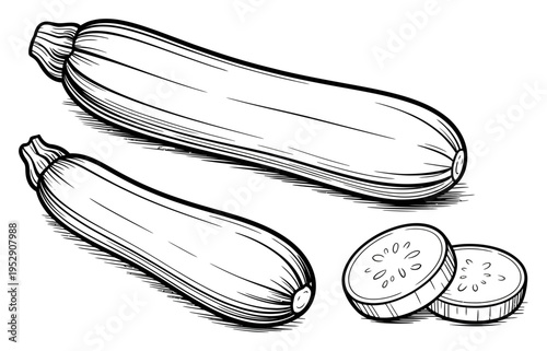 Eggplant Sketch Black White Vector Illustration