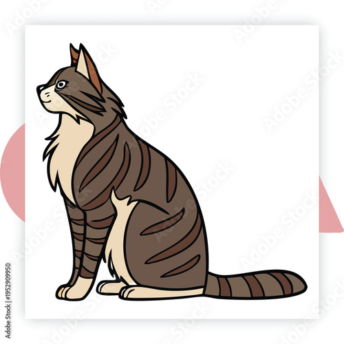 Set of cat on white background vector illustration