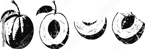 Vintage plum fruit illustration with whole, halved and sliced sections in black and white