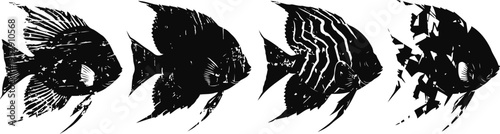 Silhouettes of four tropical fish in various patterns and shapes swimming in a row with black and white contrast