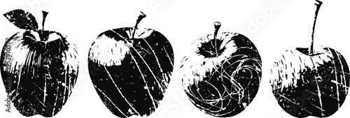 Hand drawn black and white apples set four sketched apples isolated on white background